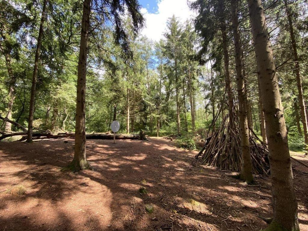 Ferienhaus Seestern Am Harkebruegger See Mit Sauna Und Kamin Barssel  Exteriér fotografie